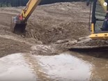 Video: Excavator rescues young deer from sticky situation