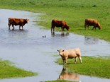 Impact of climate change on farmers