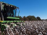 Top 10 safety tips for cotton growers