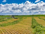 Tom’s Tips: Preparing for hay season