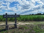 Featured property | Kinagin sugar cane farm looks sweet 