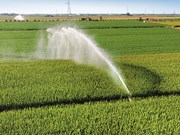 Farm advice: Is irrigation water storage and supply infrastructure critical?