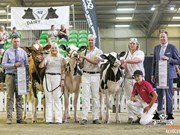 Event report: NZ Dairy Event