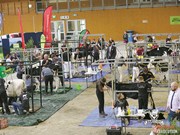 Event report: Supreme Junior Champion at NZ Dairy Event