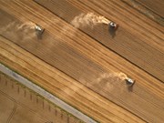 Are we reaching 'peak acreage’ for grain production?