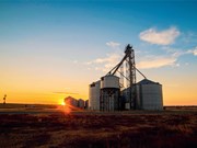 Tips for getting the most out of your silos