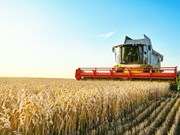 Record winter harvest predicted: ABARES