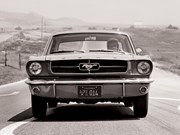 Ford Mustang V8/Fastback/GT390 1964-1973 - 2021 Market Review