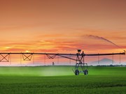 Farm advice: Efficient irrigation systems and winter maintenance