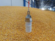 Sensors that monitor stored grain