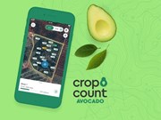 Yield accuracy boost in avocado app