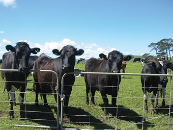 Dry soil conditions putting DairyNZ on alert