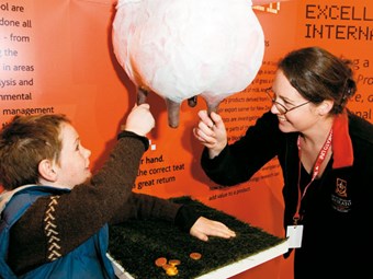 Positive result for Fieldays
