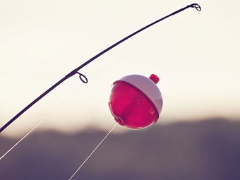 Bay of Plenty lakes fishing and boating rule changes