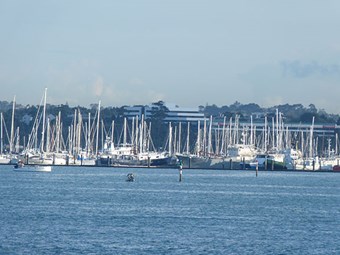 Departing yachts mark successful season for NZ Customs