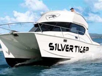 Silver Tiger ST975