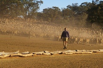 NSW, QLD rural confidence slump; WA famers happiest in 2 years