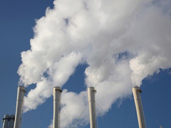 Large firms to thrive under carbon tax