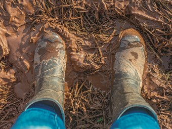 Opinion: Leave your Boots at Home to avoid Foot and Mouth