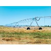 Accurate-Irrigators-1.jpg