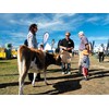 South Island Field Days