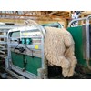 Racewell super sheep handler