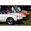 Auto Italia: Alfa Romeo Spider