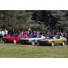 Auto Italia: Alfa Romeo Montreal