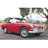 MG Midget