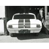 Shelby GT350