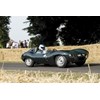 Goodwood: Jaguar D-Type