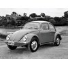 Volkswagen Beetle: 1600 Superbug