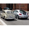 VW Beetle