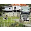 DAF XF 105