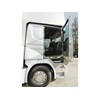 Scania G 380 LB horse truck side door