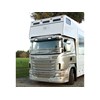 front view and grille Scania G 380 LB horse truck