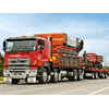 McNeill's crane truck was awarded 'Best Hino' 