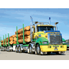 This Southern Transport Mack Trident took the 'Best Logger' award 