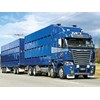 Millers Flat Transports Livestock hauling Freightliner Argosy
