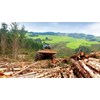 Tom Harrison and Sons Logging: family in forestry