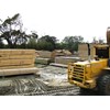 Forestry: Northpine Timber Mill in Waipu