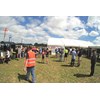 Ritchie Bros auction at Mystery Creek 2016