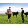 Sustainability: Pasture-First farming