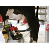 Business Profile: Lely Robotic Milking