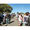 Central Districts Field Days