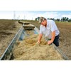 Anthony inspects the dairy heards total mixed ration in the corals