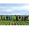 Foundation Arable Research Tour event