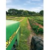 Bulb farming in Waipu