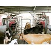 Lely Astronaut milking system review