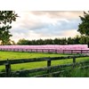Pink bales for breast cancer awareness strike a chord overseas